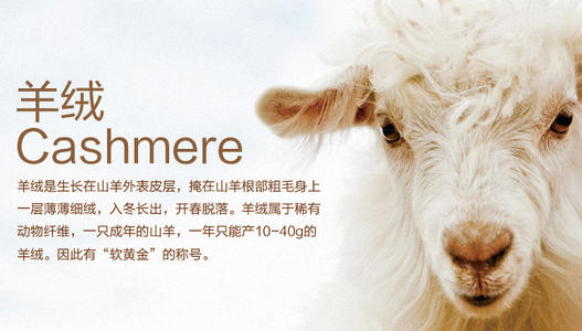 新闻资讯